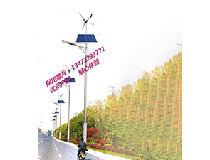 风光互补太阳能路灯FGD-31 风光互补太阳能路灯FGD-31